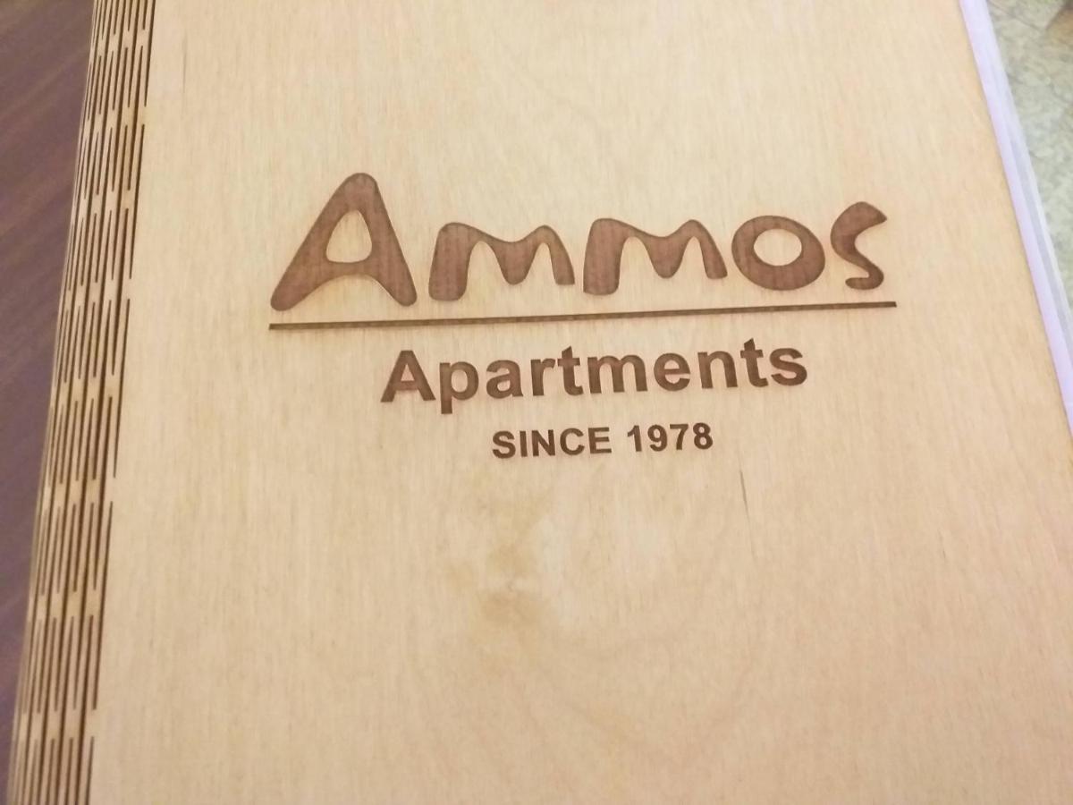 Ammos Apartments Ágios Nikólaos Eksteriør bilde
